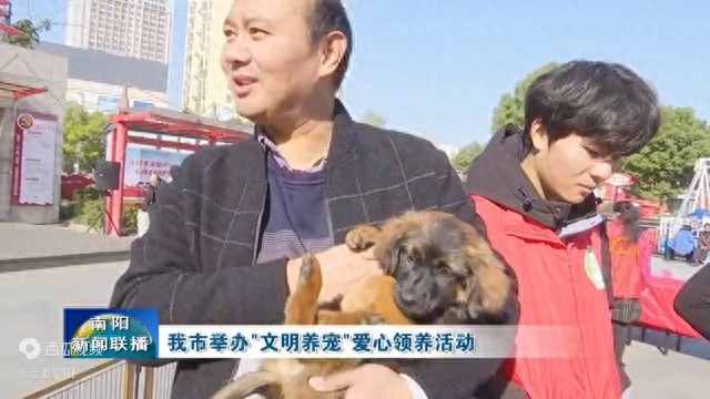 在南阳市举办文明养宠领养活动